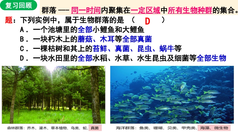 人教版生物必修三课件：43群落的结构_第3页