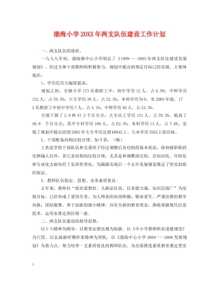 渤海小学20XX年两支队伍建设工作计划 