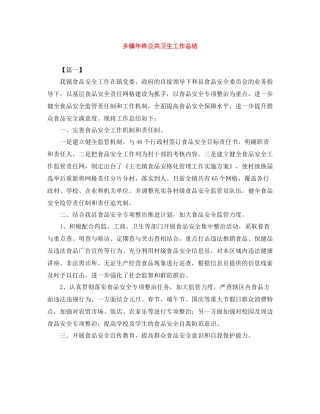 乡镇年终公共卫生工作总结