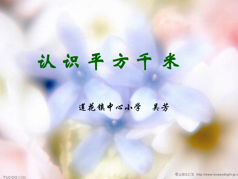 认识平方千米 (5)_第1页