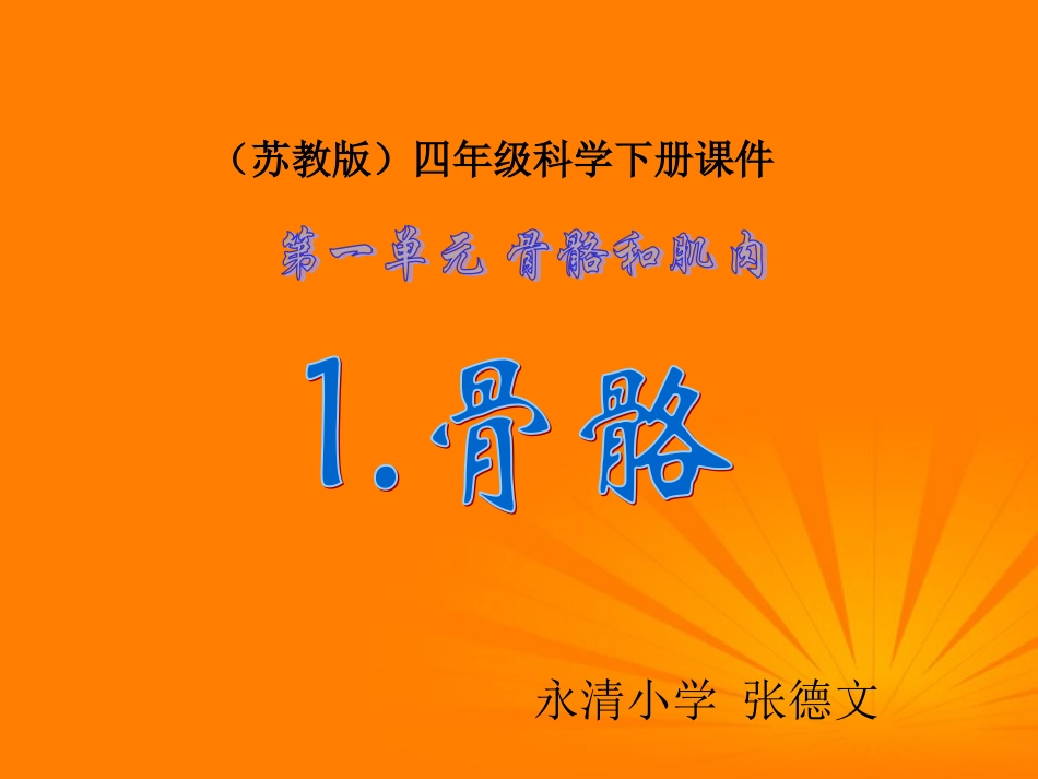 四年级科学下册-骨骼-4课件-苏教版_第1页