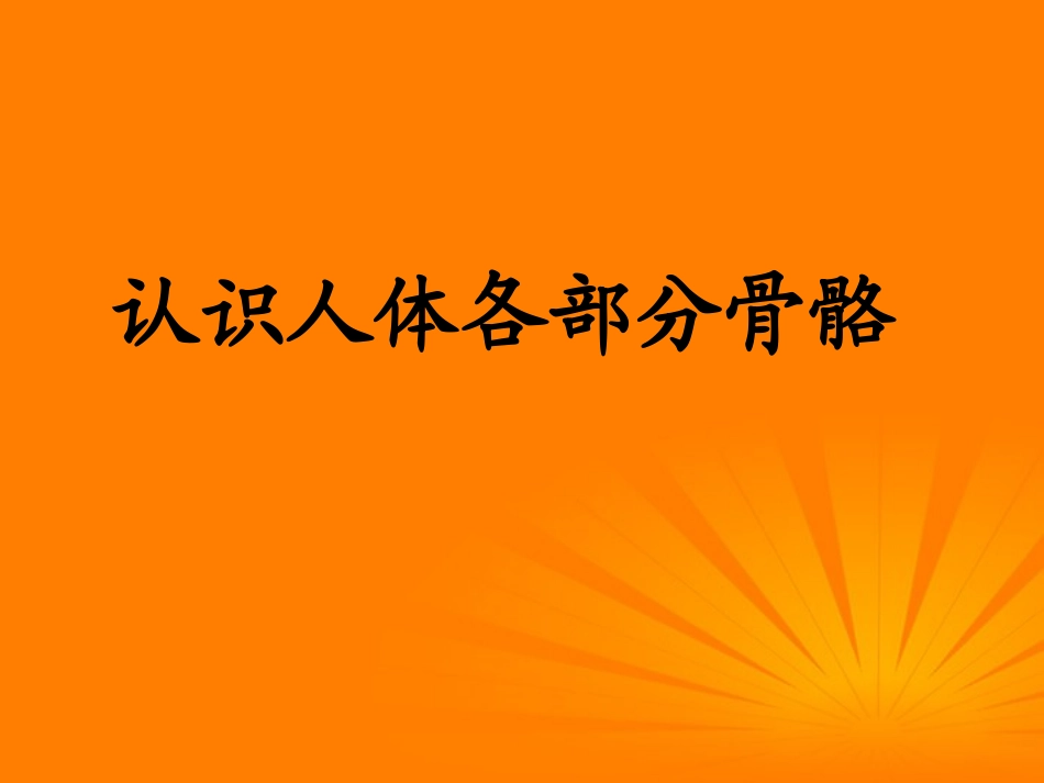 四年级科学下册-骨骼-4课件-苏教版_第3页