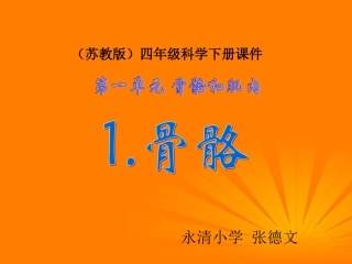 四年级科学下册-骨骼-4课件-苏教版