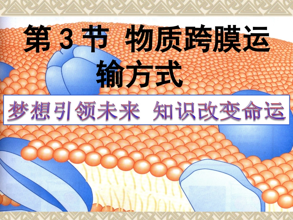物质跨膜运输的方式课件（人教版必修）_第2页