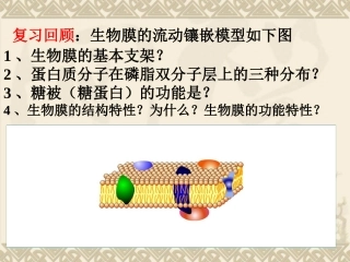 物质跨膜运输的方式课件（人教版必修）