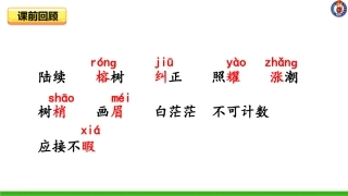 -鸟的天堂-第二课时