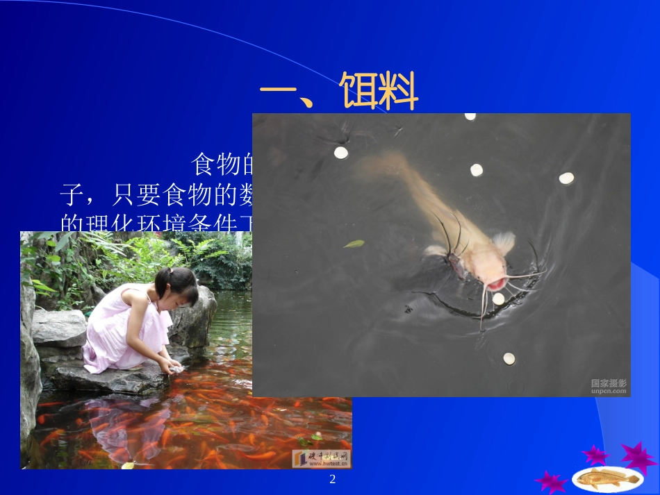 影响鱼类生长的因素_第2页