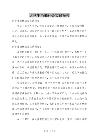 大学生毛概社会实践报告
