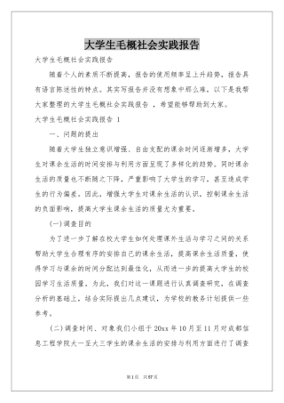 大学生毛概社会实践报告 