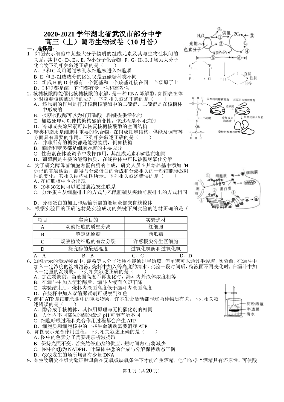 2020-2021学年湖北省武汉市部分中学高三（上）调考生物试卷（10月份）_第1页