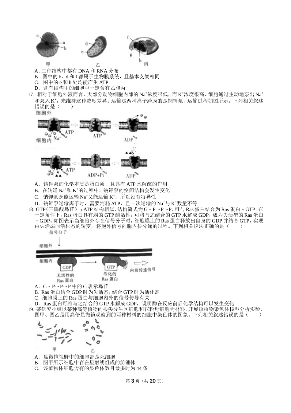 2020-2021学年湖北省武汉市部分中学高三（上）调考生物试卷（10月份）_第3页
