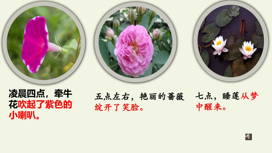 《花钟》微课课件_第3页