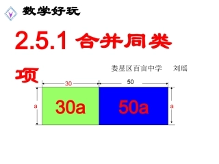 合并同类项（公开课）