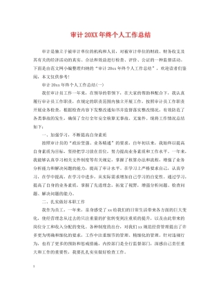 审计终个人工作总结