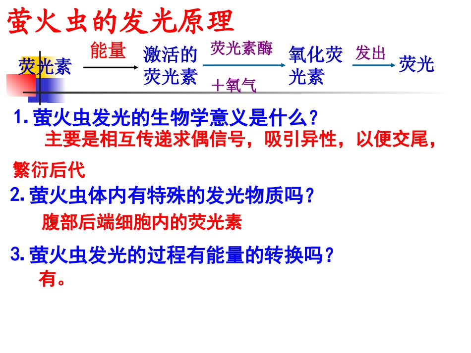 第五章第2细胞的能量“通货”—ATP_8208_第3页