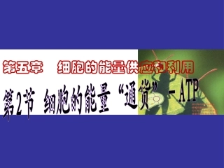 第五章第2细胞的能量“通货”—ATP_8208
