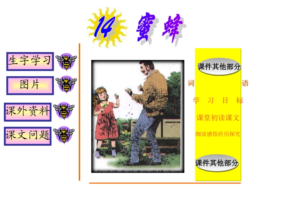 蜜蜂精品课件_第1页