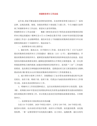 村级财务审计工作总结 