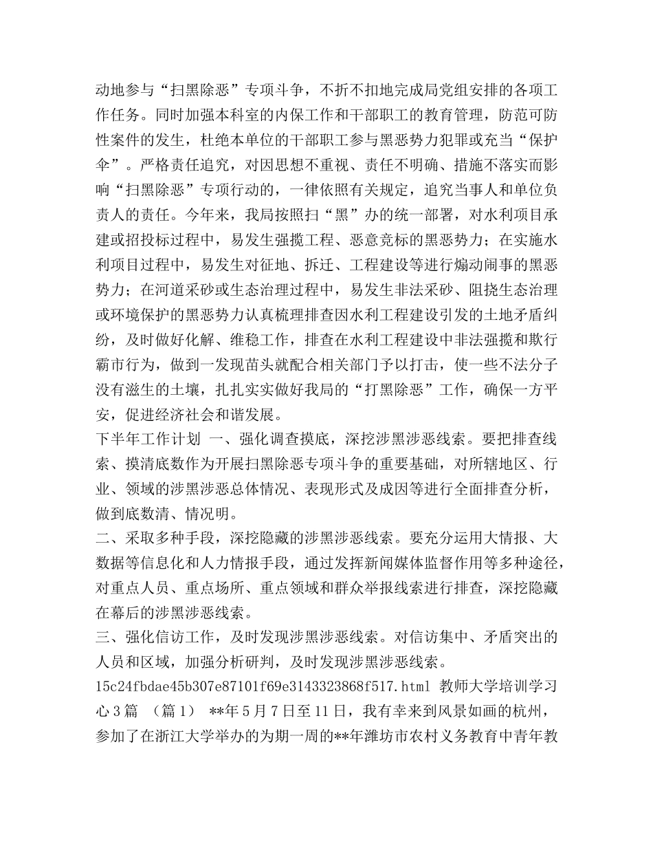 村级扫黑除恶工作总结及计划 [扫黑除恶工作总结及下半年工作计划汇编] _第2页