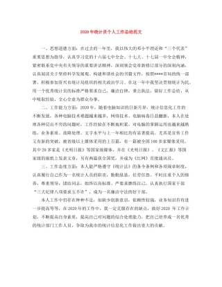 2020年统计员个人工作总结范文
