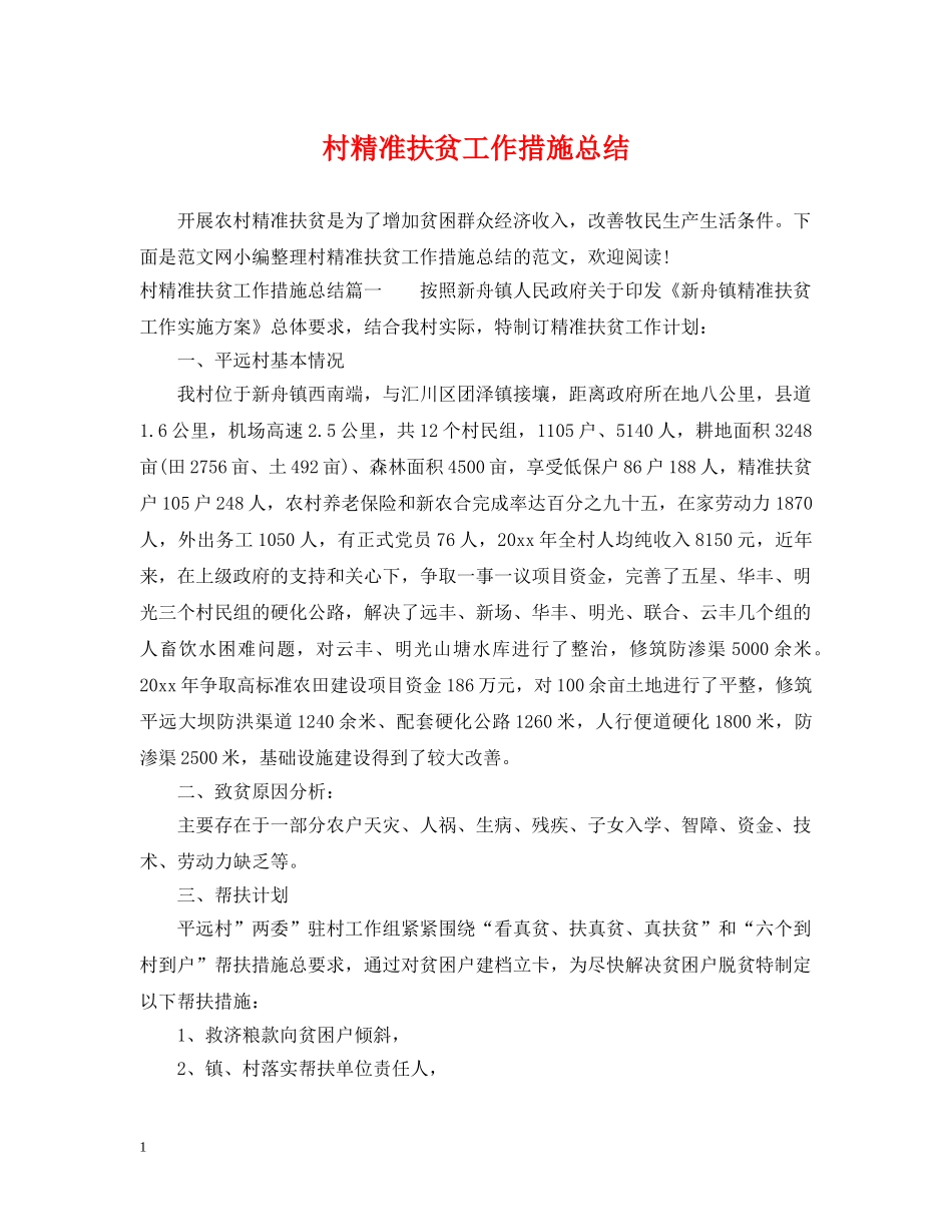 村精准扶贫工作措施总结 _第1页
