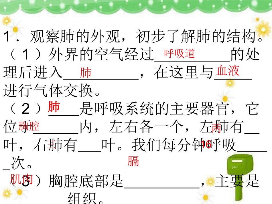 《发生在肺内的气体交换》课件（成）_第3页