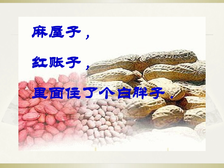 落花生郭玲利_第2页