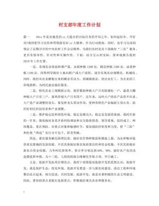 村支部年度工作计划 