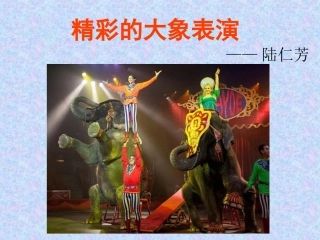 湘教版三年级语文下册《精彩的大象表演》课件
