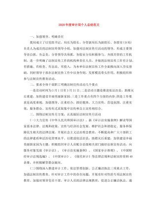 2020年度审计局个人总结范文