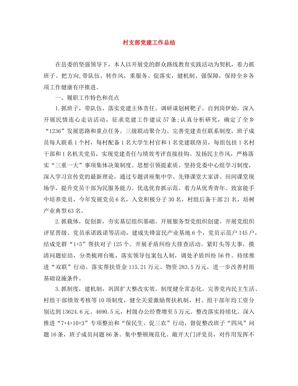 村支部党建工作总结 _第1页