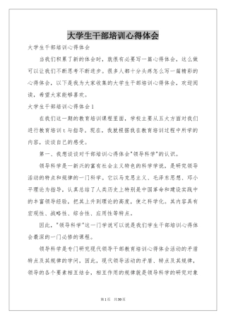 大学生干部培训体会心得