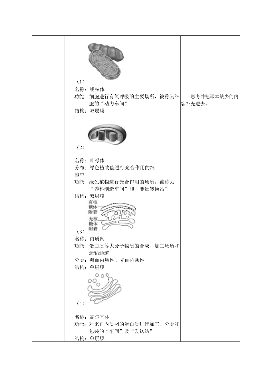细胞器之间的分工_第2页