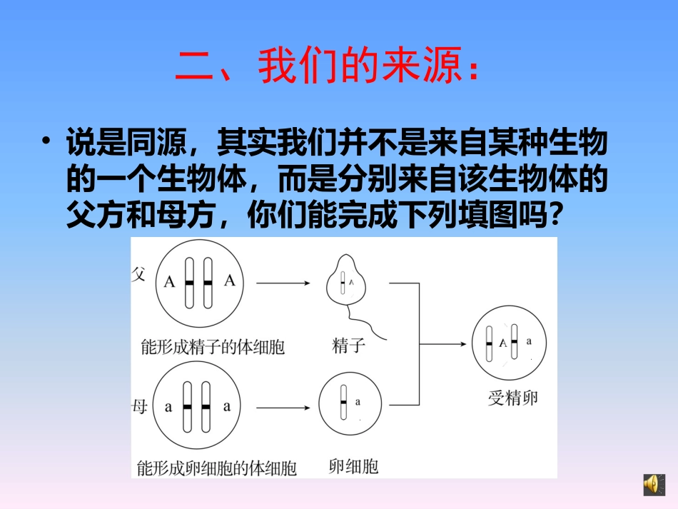 一对同源染色体的自述_第3页