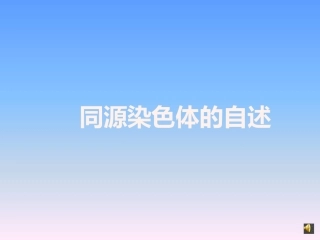一对同源染色体的自述