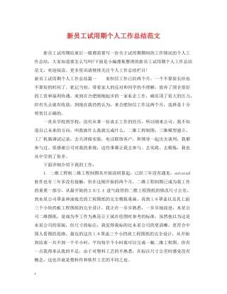 新员工试用期个人工作总结范文2