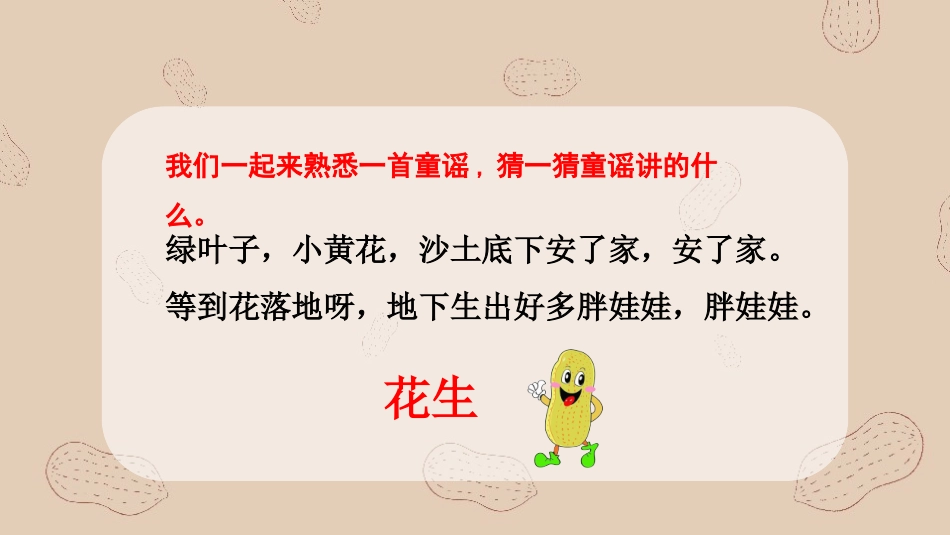 -落花生-第一课时 ()_第1页