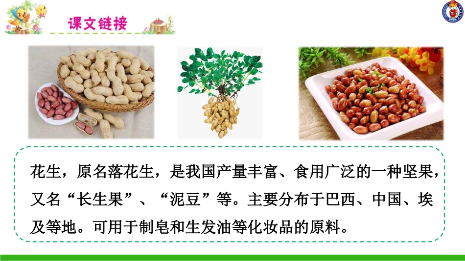 -落花生-第一课时 ()_第2页