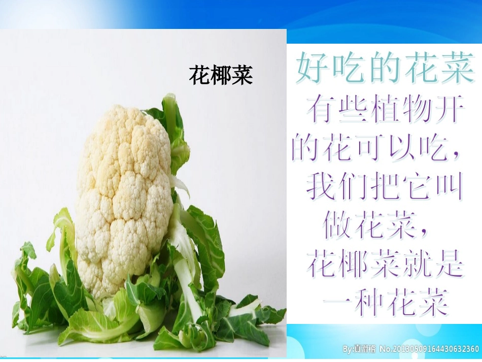 蔬菜宝宝我爱你稿_第2页