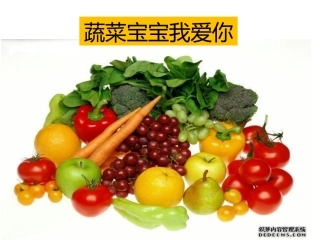 蔬菜宝宝我爱你稿