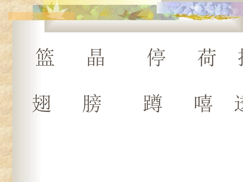 荷叶圆圆课件(1)_第3页
