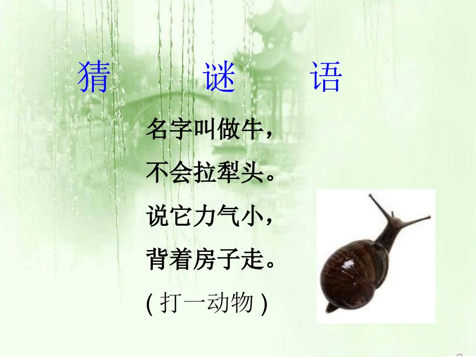 《蜗牛的奖杯》课件_第2页