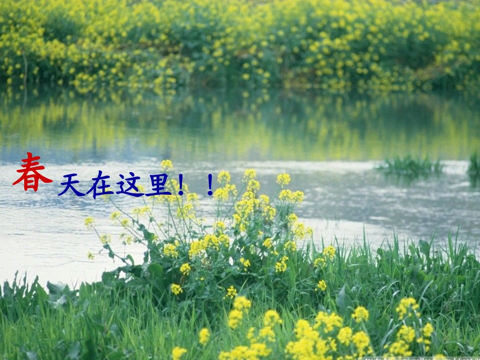 苏教版语文四年级《燕子》课件_第3页