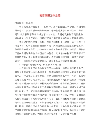 村官助理工作总结 