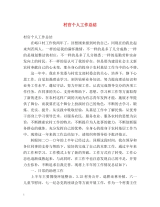 村官个人工作总结 