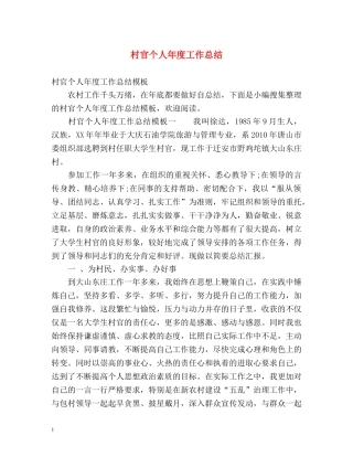 村官个人年度工作总结 