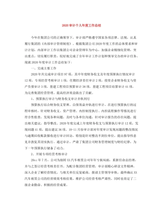 审计个人年度工作总结