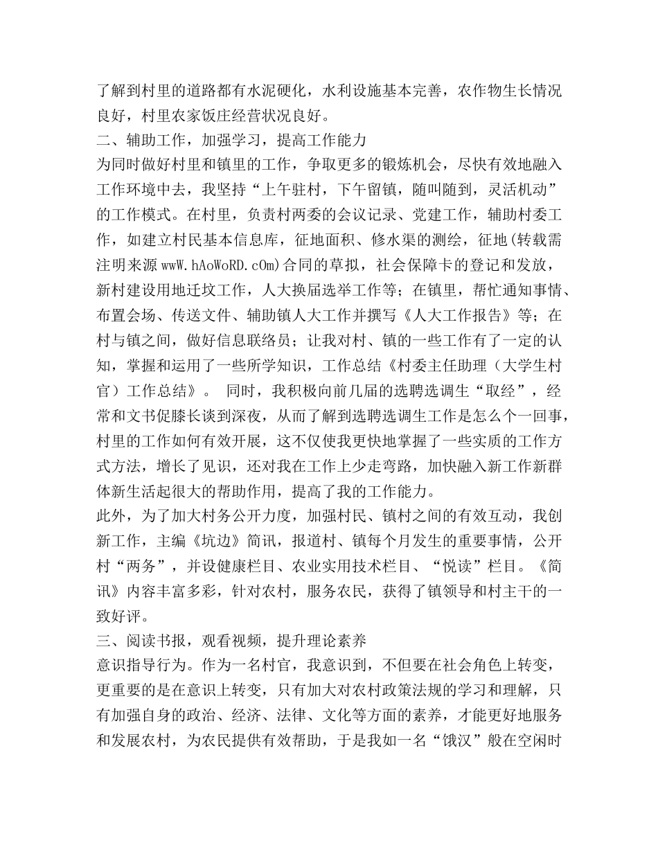 村委主任助理大学生村官个人工作总结 _第2页
