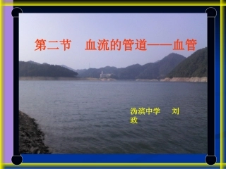七年级生物血管