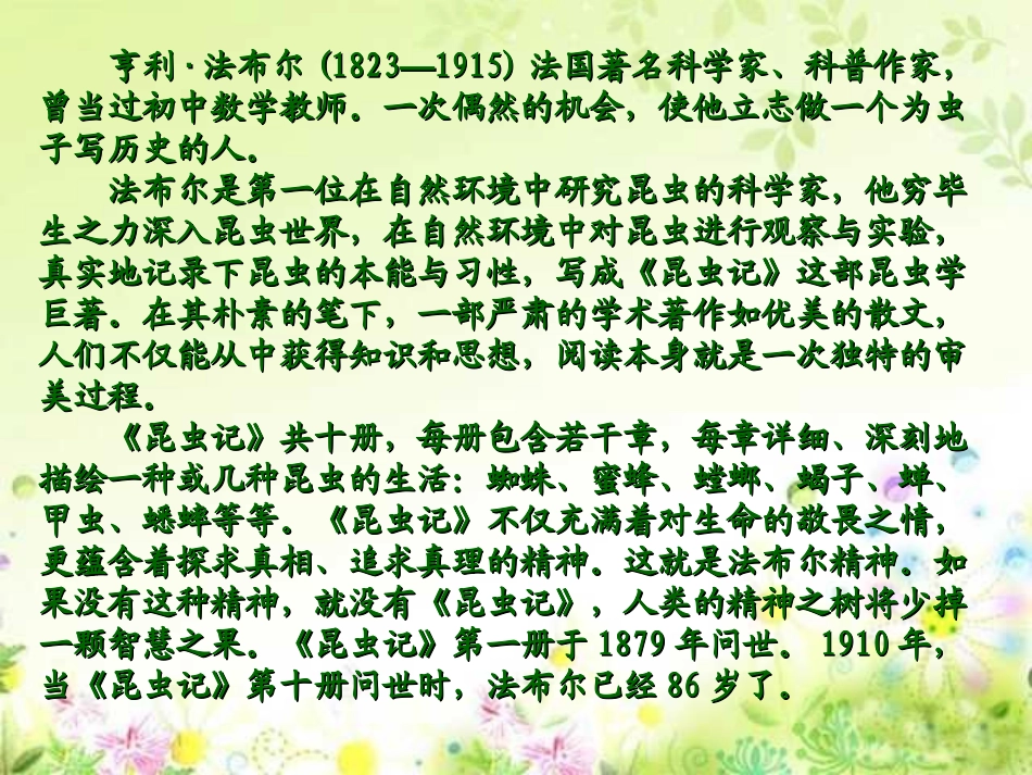 《蜜蜂》PPT课件_第3页